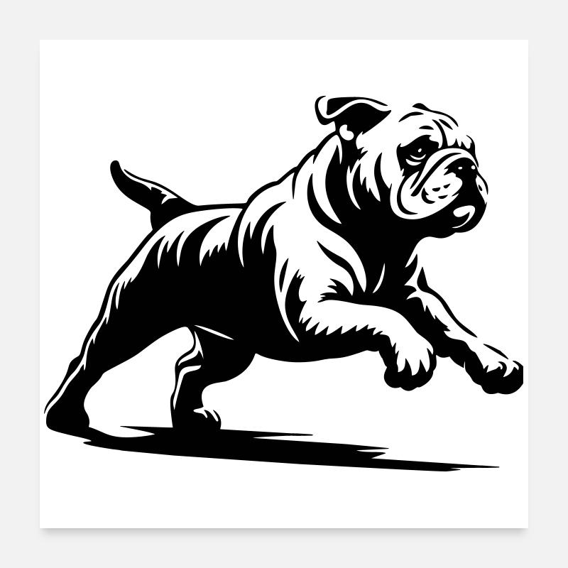 Bouledogue anglais Poster 60 x 60 cm