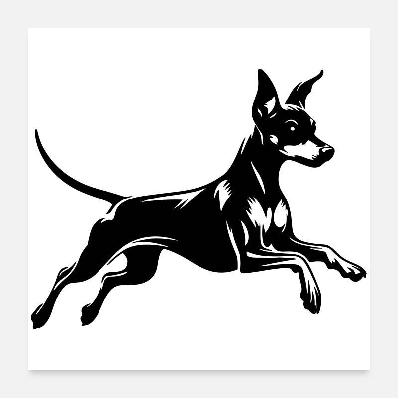 Miniature Pinscher Poster 24" x 24" (60x60 cm)