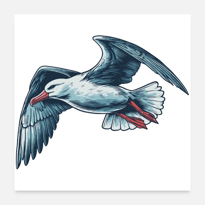 Albatros Poster 60 x 60 cm
