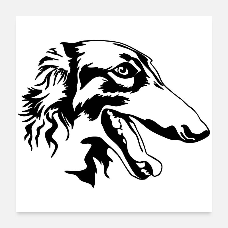 Barsoi Kopf Poster 60x60 cm