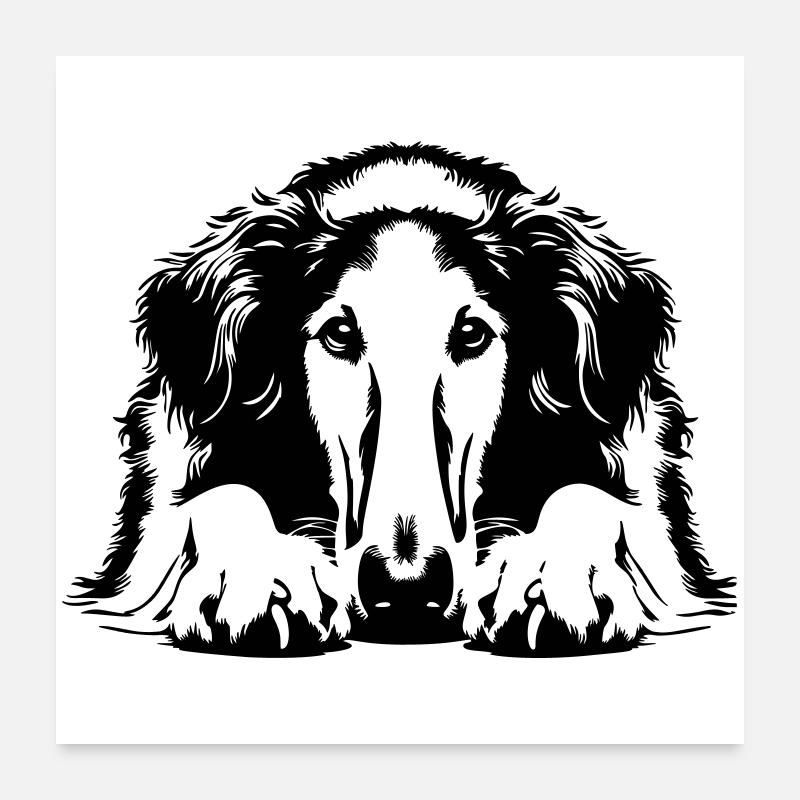 Borzoi Head with Paws Poster 24" x 24" (60x60 cm)