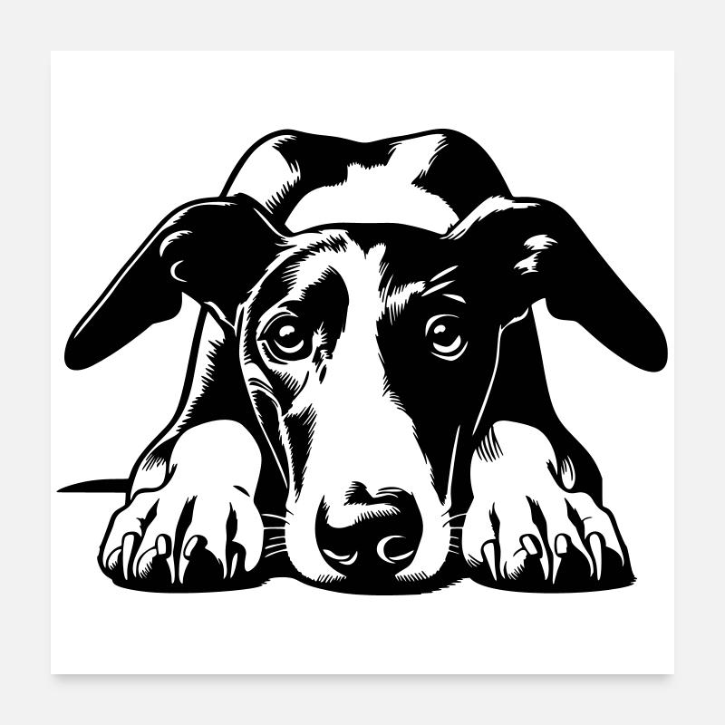 Galgo Head with Paws Poster 24" x 24" (60x60 cm)