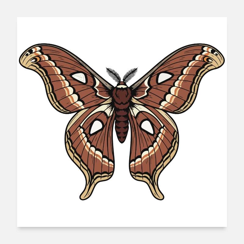 Butterfly Polyphemus Moth Saturnie Wing Tattoo Poster 24" x 24" (60x60 cm)
