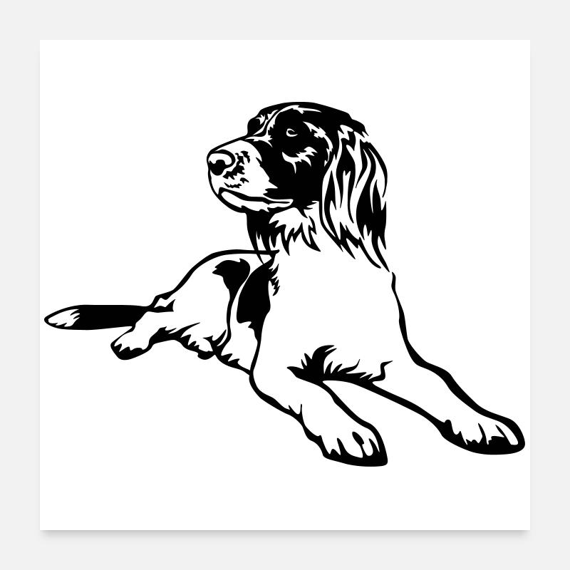 Münsterländer Poster 60 x 60 cm