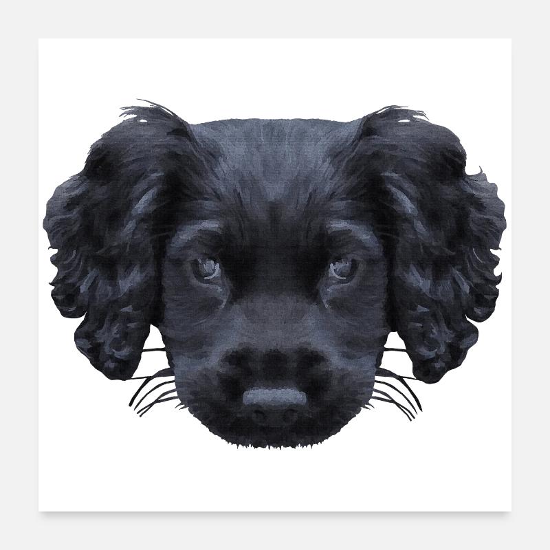 weihnachtsgeschenke für jedermann, Cocker spaniel Poster 60x60 cm