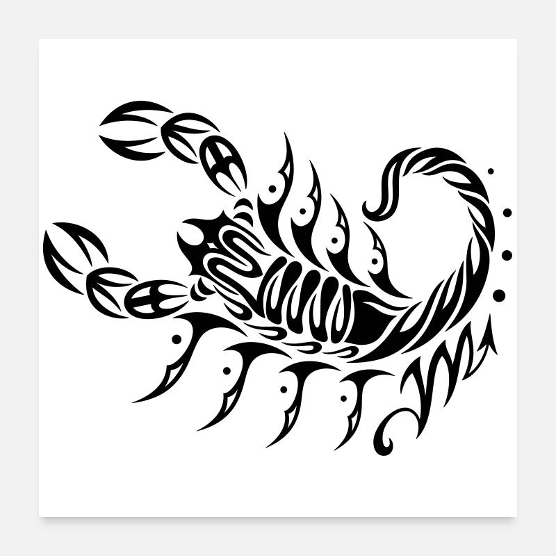 Astrological zodiac, scorpion Poster 24" x 24" (60x60 cm)