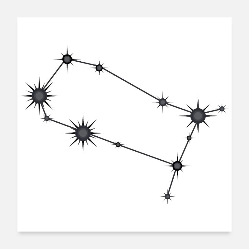 Zwillinge Sternbild Sternzeichen Schwarz & Grau Poster 60x60 cm