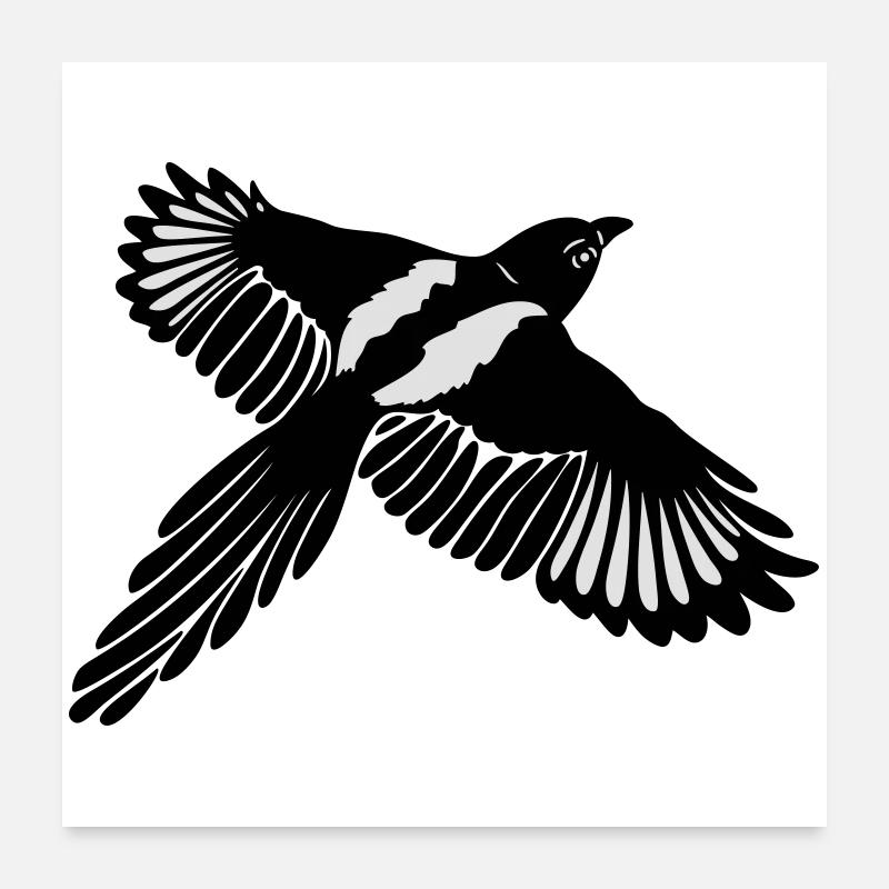 Große Elster, magpie Poster 60 x 60 cm