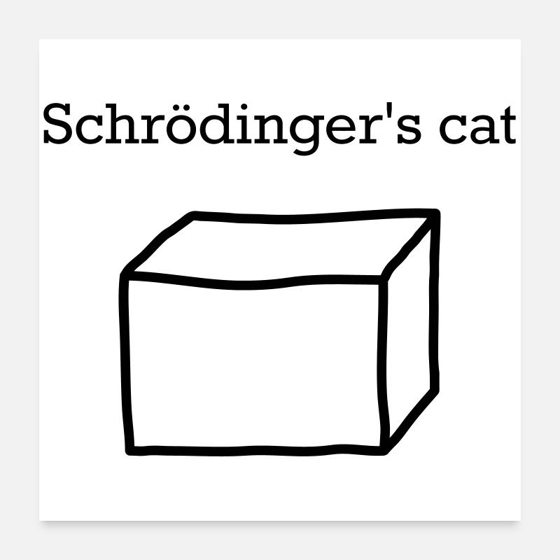 Schrödinger's Cat – Funny Quantum Physics Nerd Poster 24" x 24" (60x60 cm)