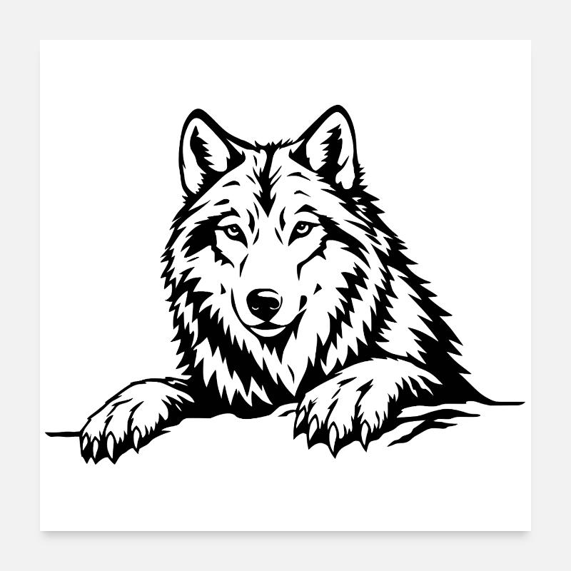 Wolf mit Pfoten schwarz Poster 60x60 cm