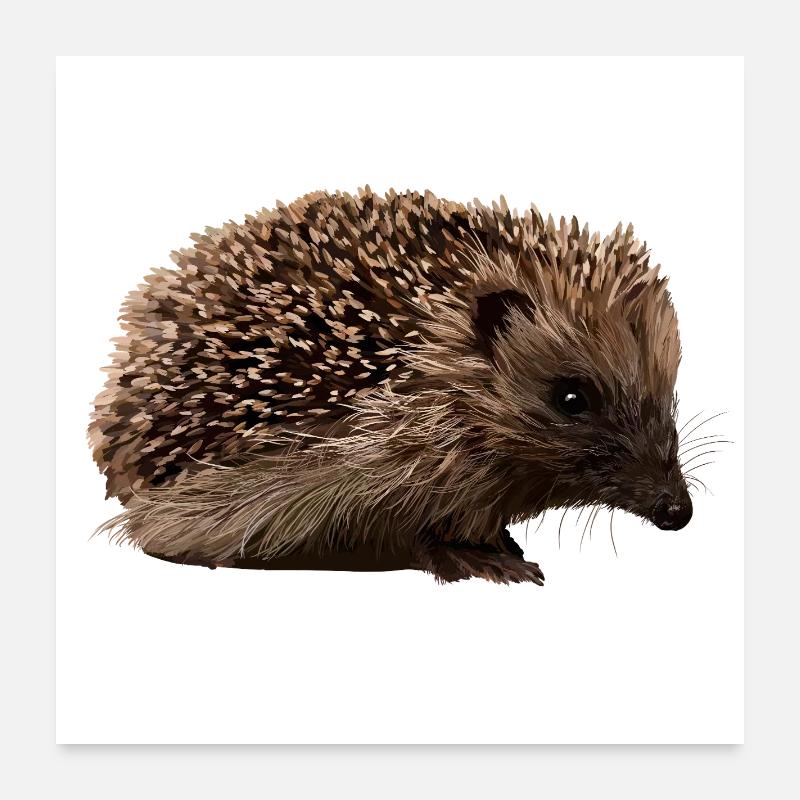 Hedgehog in forest style Poster 24" x 24" (60x60 cm)