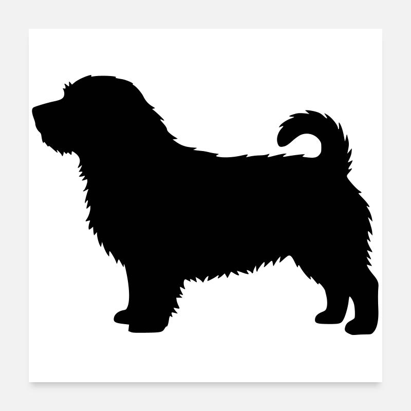 Silhouette du Norfolk Terrier Poster 60 x 60 cm
