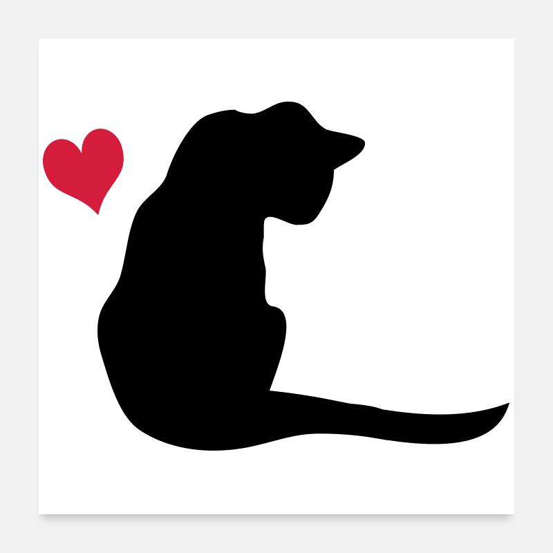Katze - Poster 60x60 cm - Weiß