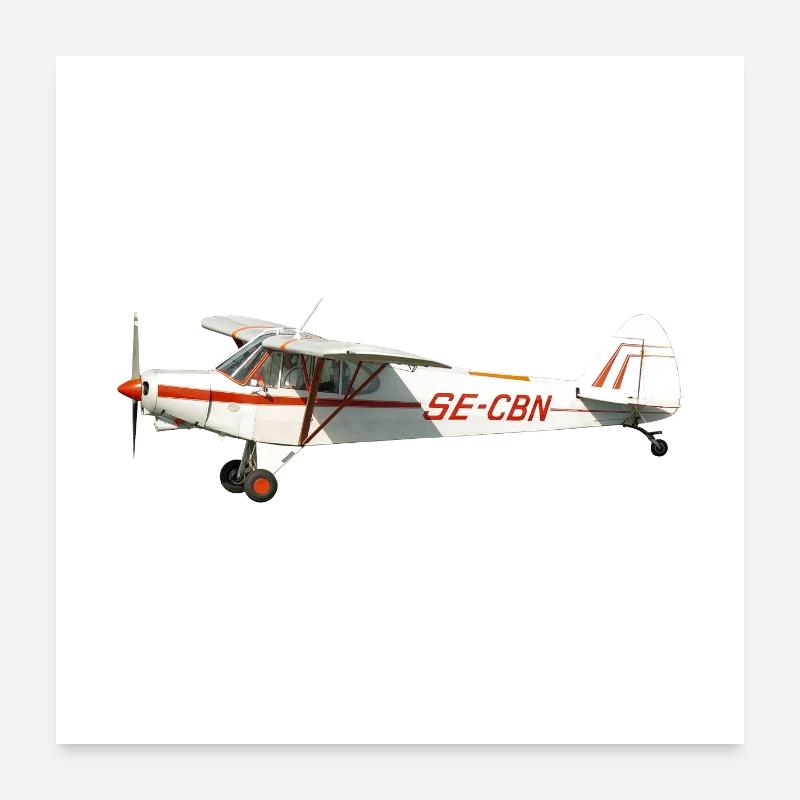 avion Poster 60 x 60 cm