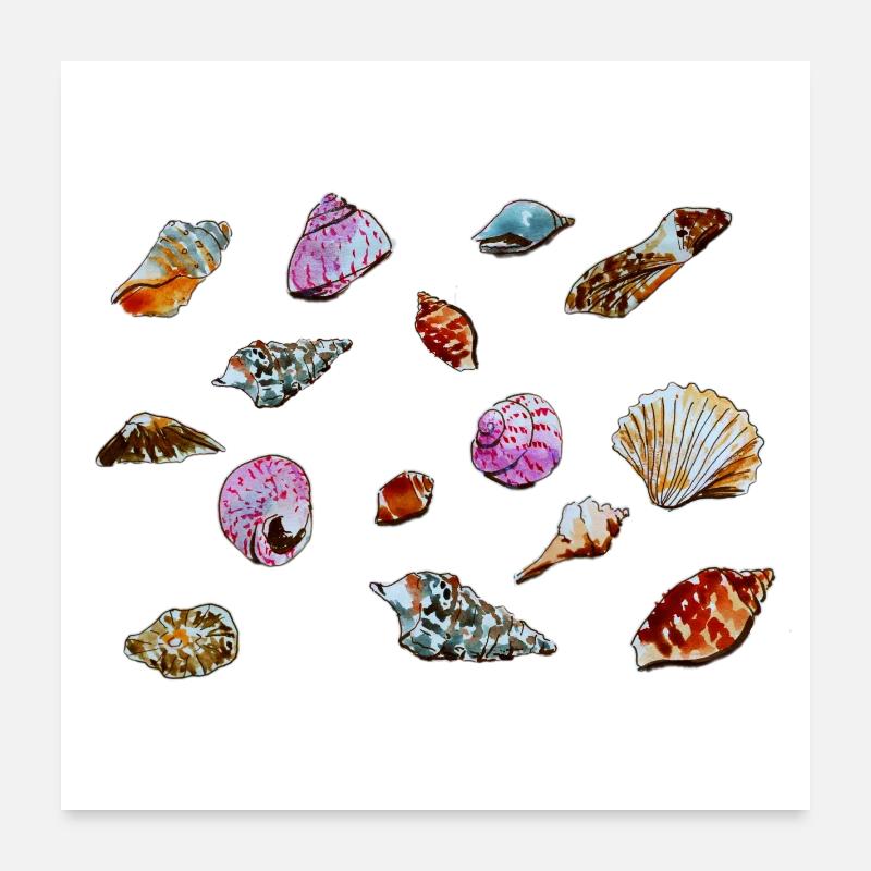 Bunte Muscheln Meeresmuster - Poster 60x60 cm - Weiß