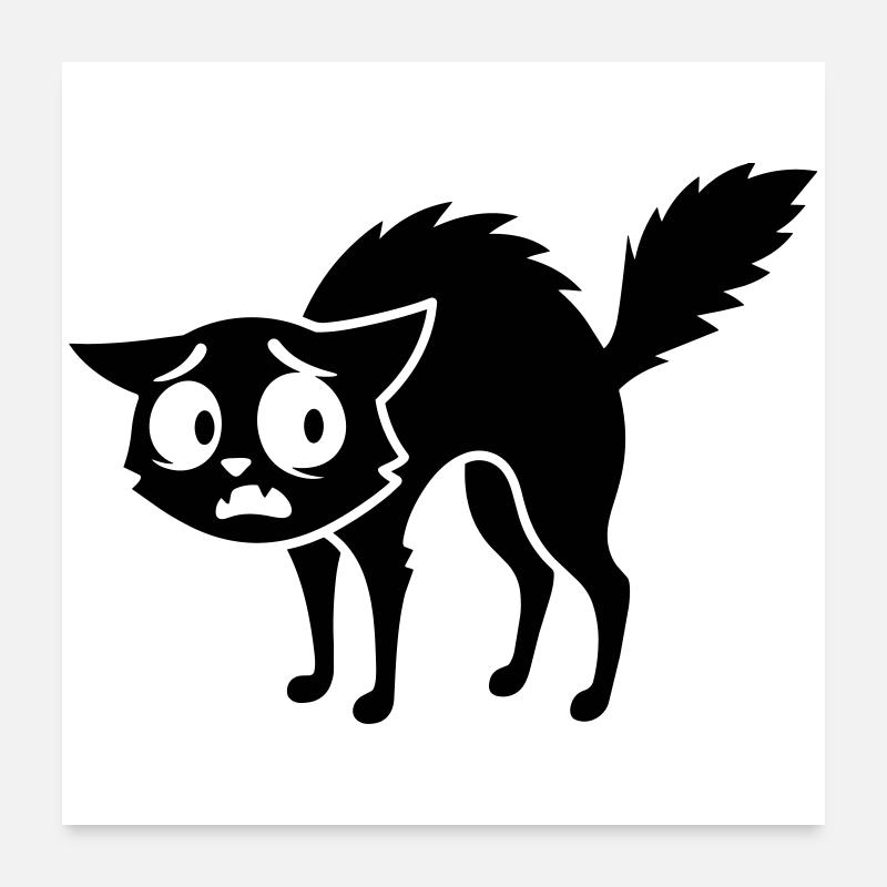 Frightened cat Poster 24" x 24" (60x60 cm)