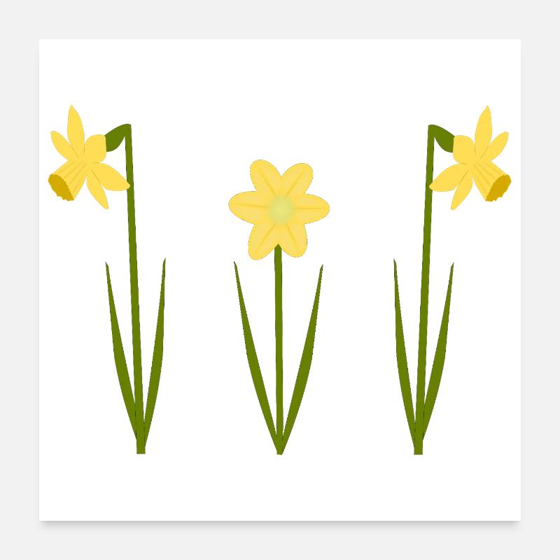Anniversaire de mars Fleurs de naissance Jonquilles en fleurs - Poster 60 x 60 cm - blanc