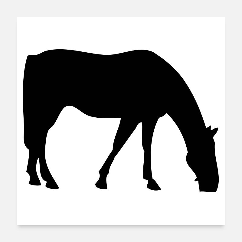 Cheval - Poster 60 x 60 cm - blanc