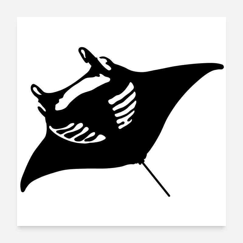 manta_1 Poster 60 x 60 cm