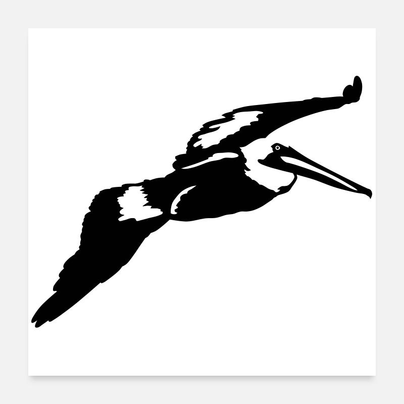 Pelican Poster 24" x 24" (60x60 cm)