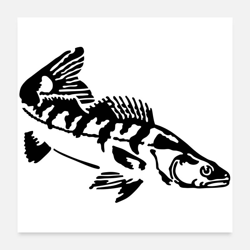 zander Poster 24" x 24" (60x60 cm)