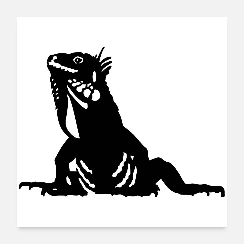 Iguana - Poster 60x60 cm - Weiß