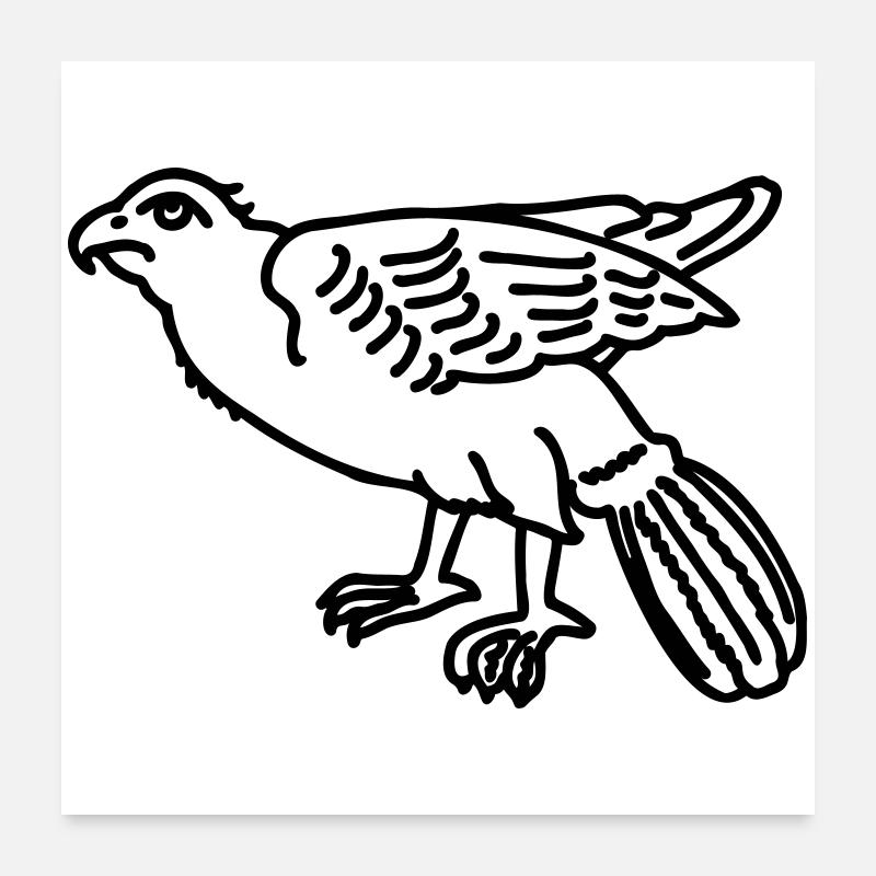 aigle Poster 60 x 60 cm