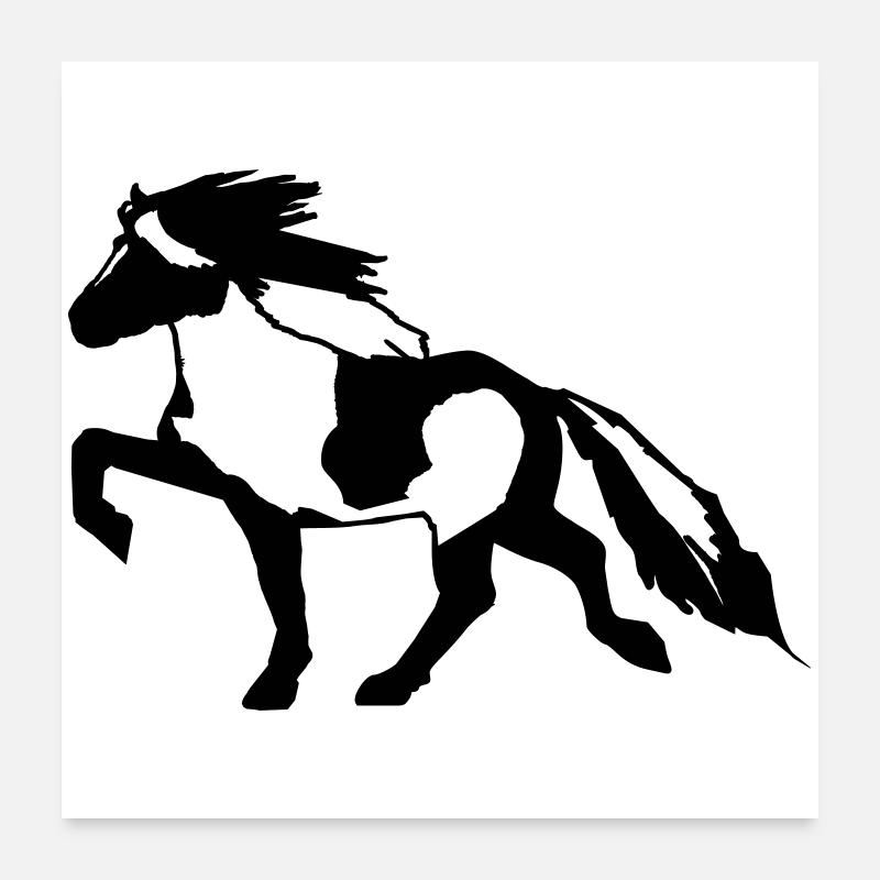 Islandpferd Schecke 7, Pinto reiten Isländer Poster 60x60 cm