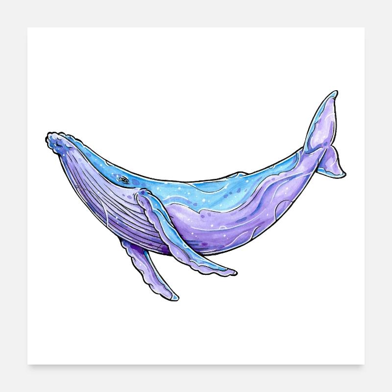 Buckelwal Aquarell Poster 60x60 cm