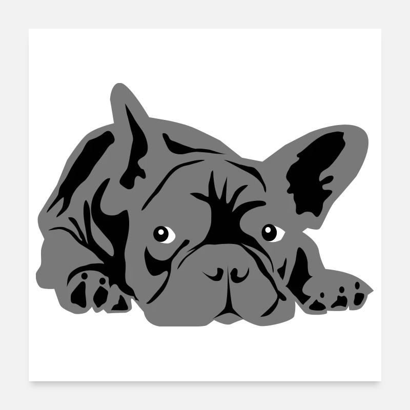 bouledogue français 2 couleurs Poster 60 x 60 cm