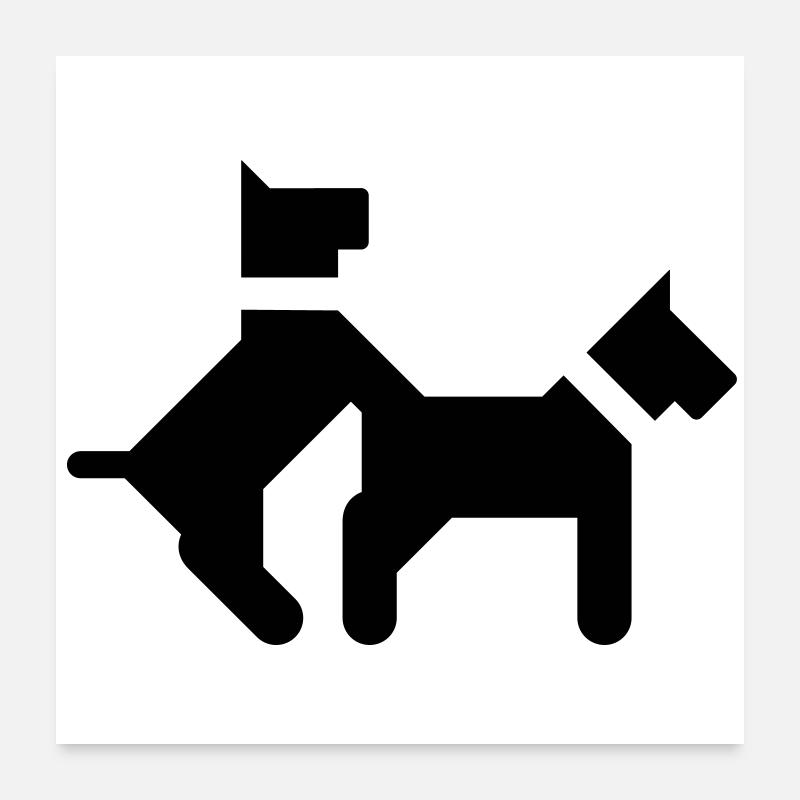Fickende Hunde Poster 60x60 cm