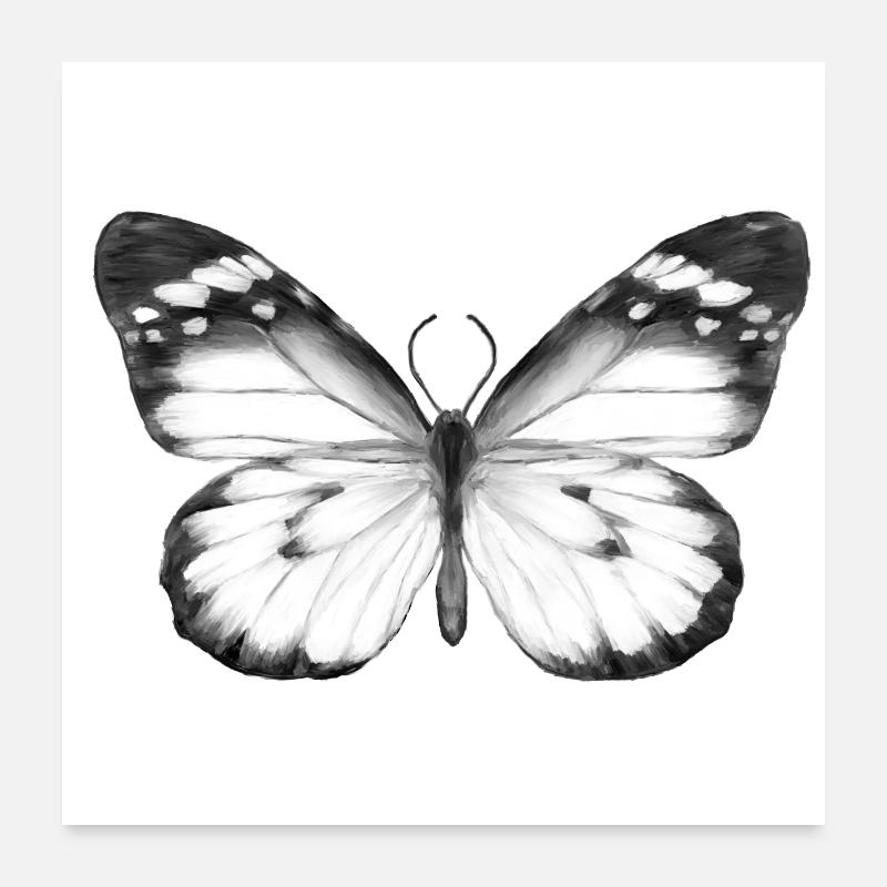 Monochrome Butterfly Poster 24" x 24" (60x60 cm)