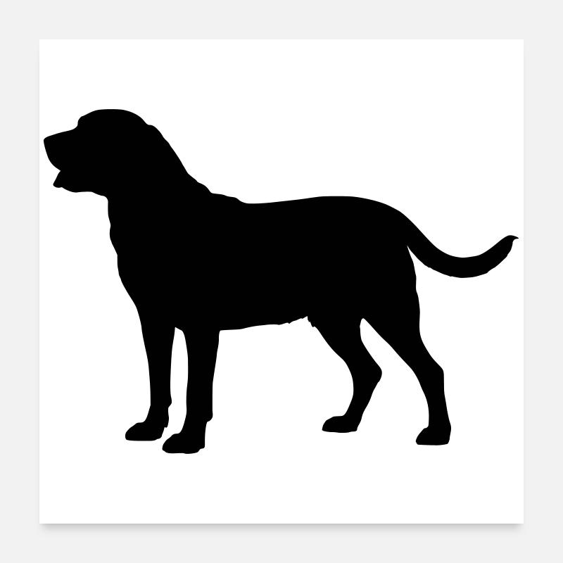 Chien de Broholm Poster 60 x 60 cm