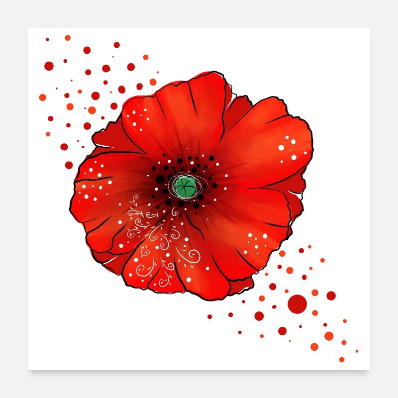 Mohnblume Poppy Kunst - Poster 60x60 cm - Weiß