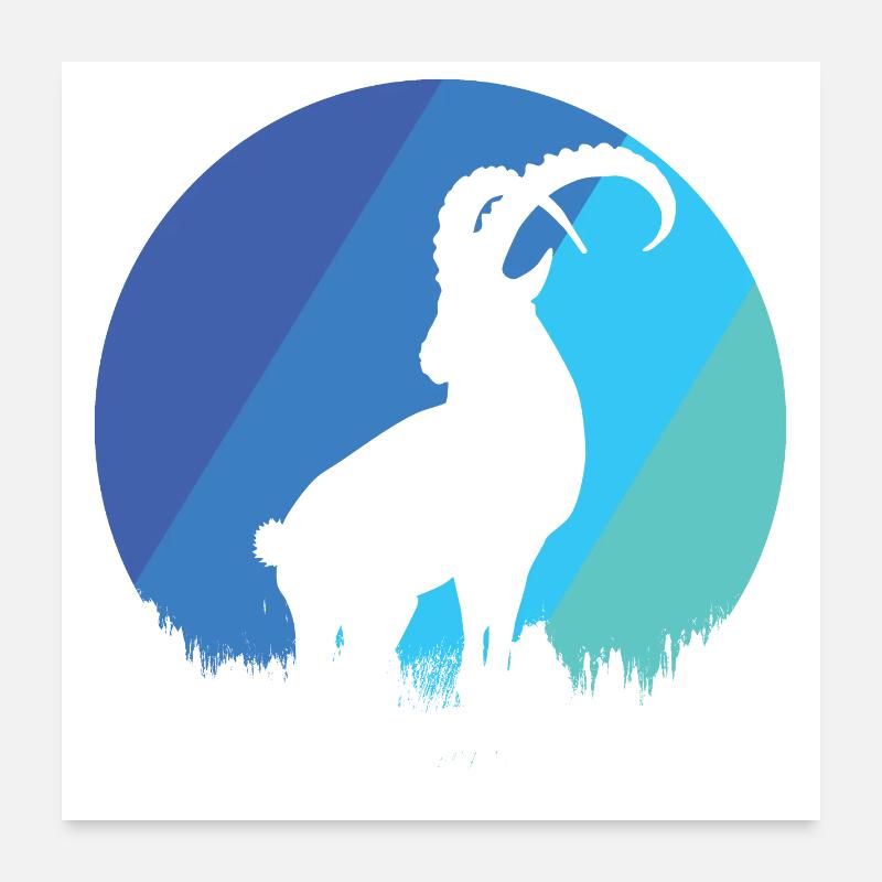 Steinbock - Poster 60x60 cm - Weiß