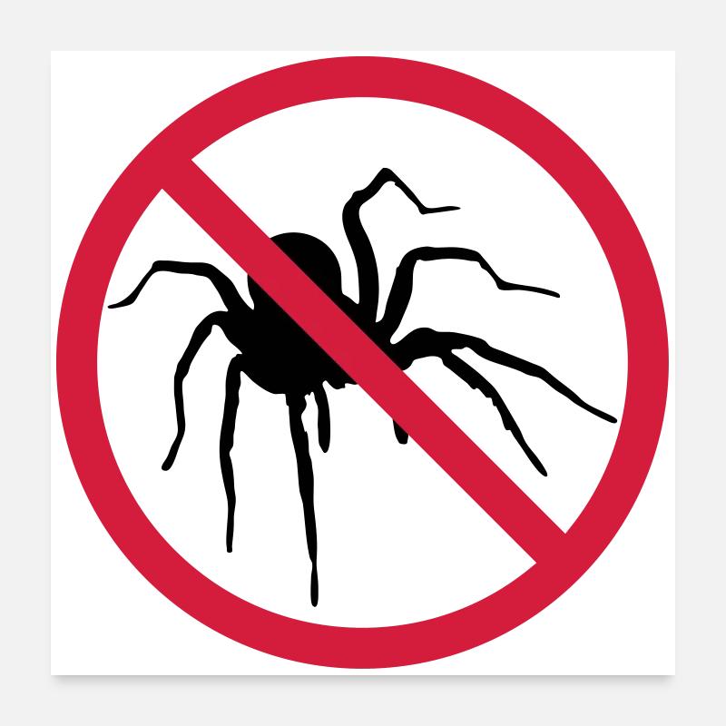 keine spinne verboten schild vogelspinne design cl Poster 60x60 cm