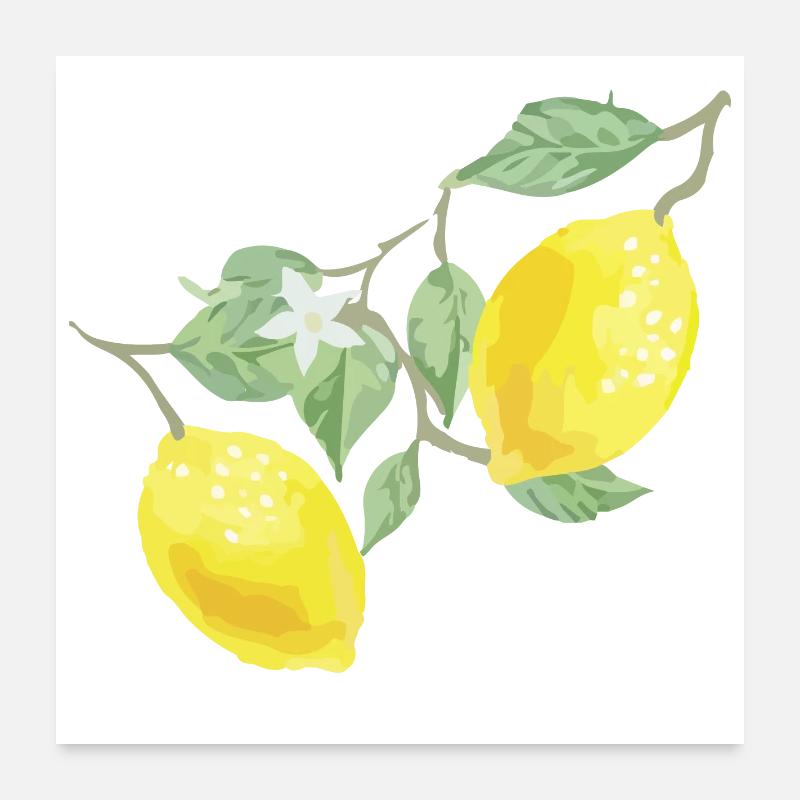 Lemons - Poster 24" x 24" (60x60 cm) - white