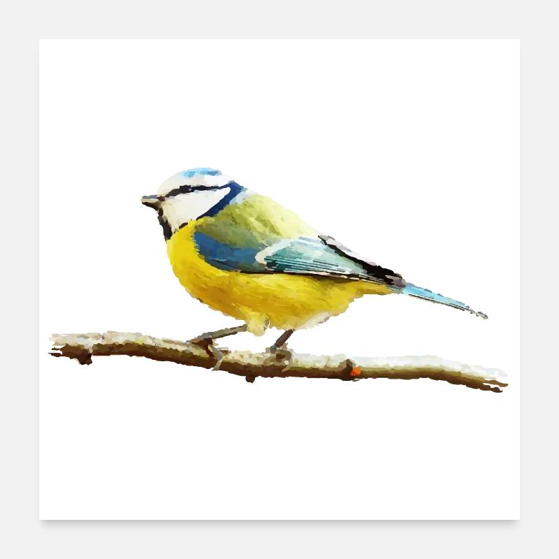 Titmouse Poster 24" x 24" (60x60 cm)
