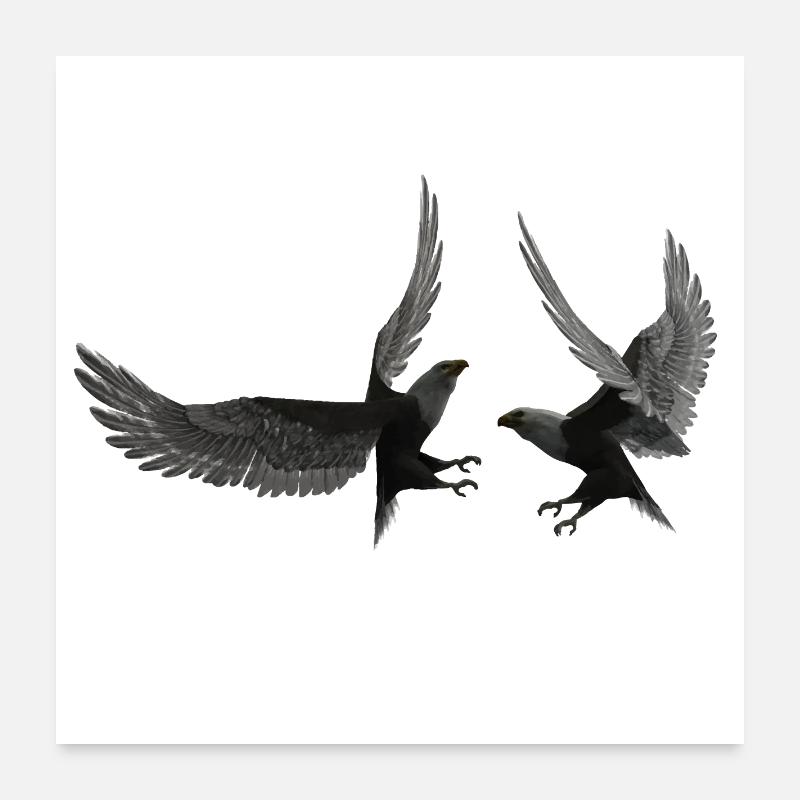 Dancing the falcons in flying pose Poster 24" x 24" (60x60 cm)