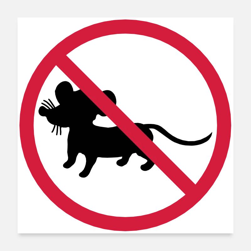 verboten schild zone keine maus symbol maeuschen s - Poster 60x60 cm - Weiß