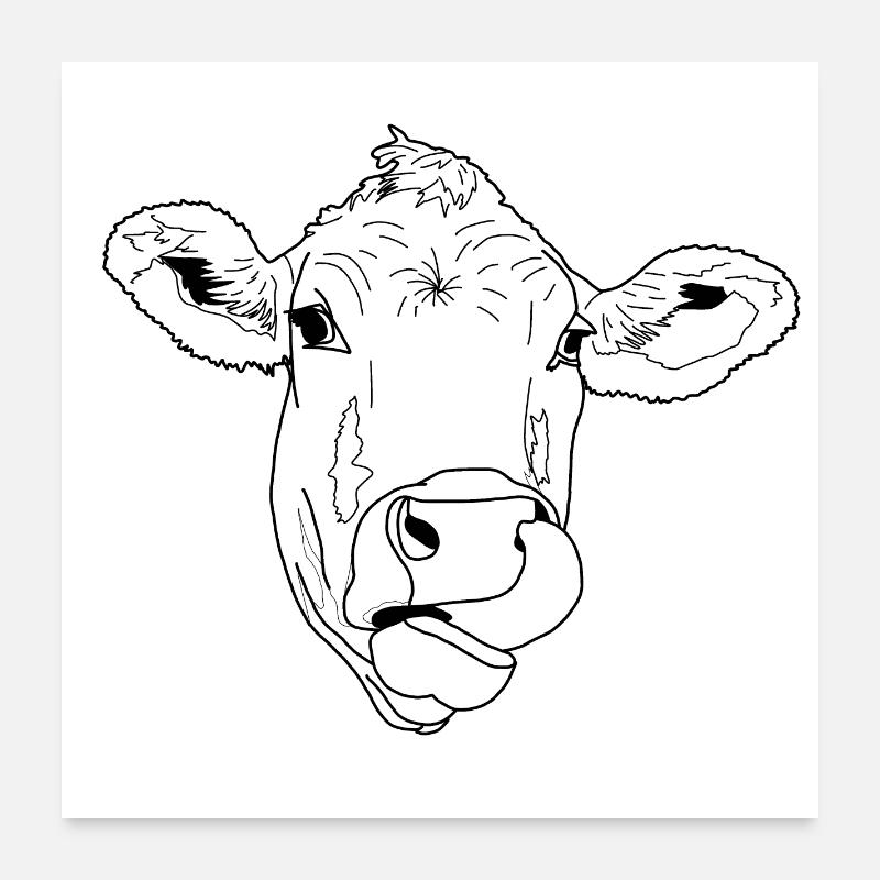 Leckende Kuh Poster 60x60 cm