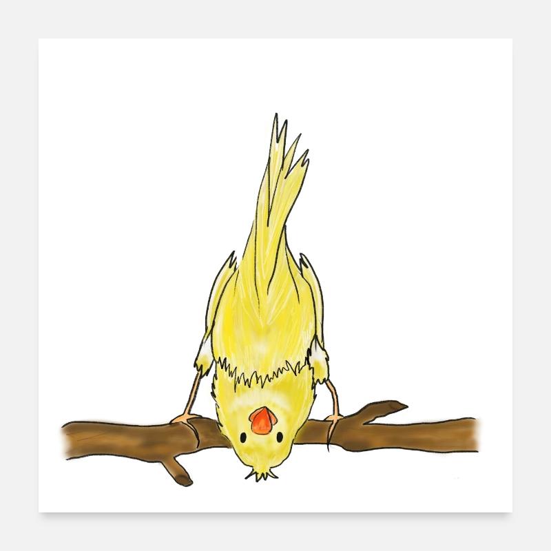 oiseau mignon sur l’illustration de branche Poster 60 x 60 cm