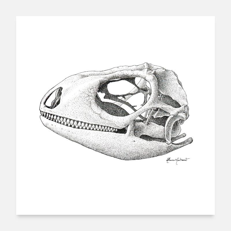 Teiú Lizard Skull - Ink Poster 60x60 cm