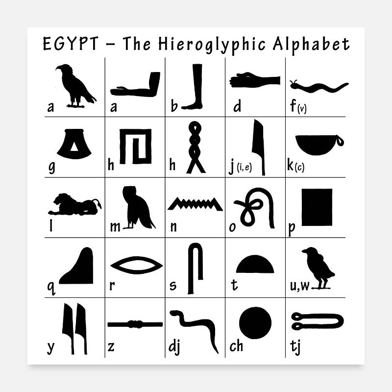 Hieroglyphic Alphabet - Poster 24" x 24" (60x60 cm) - white