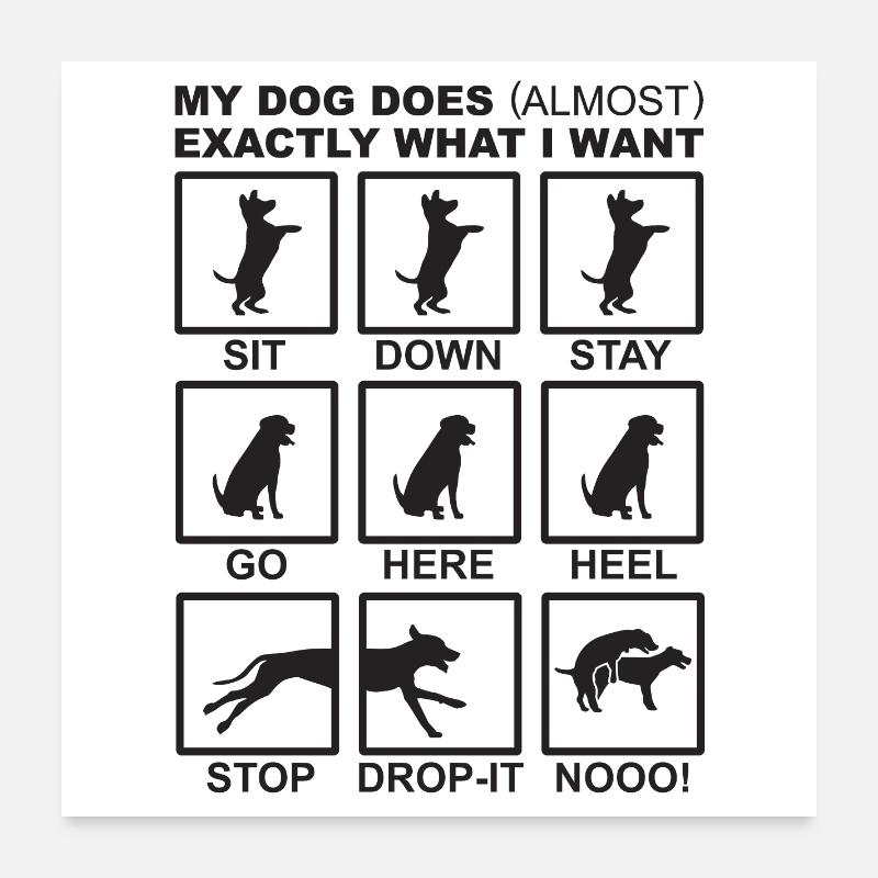Hundebefehle Poster 60x60 cm