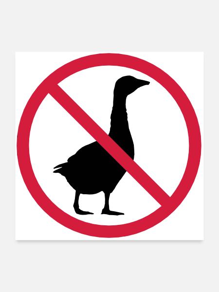 Goose forbidden sign - Poster 24" x 24" (60x60 cm) - white - Front