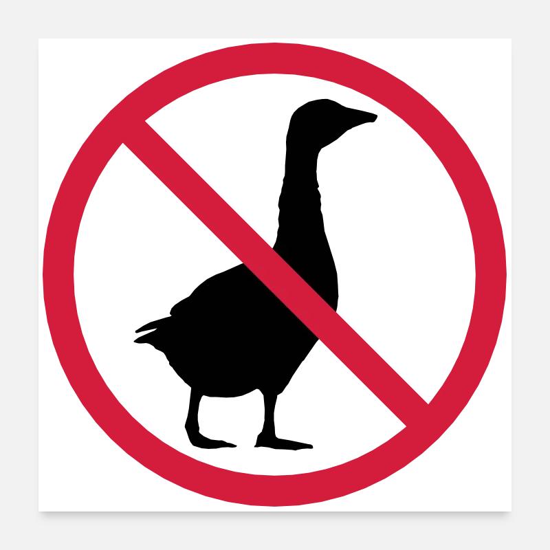 Signe interdit d'oie Poster 60 x 60 cm