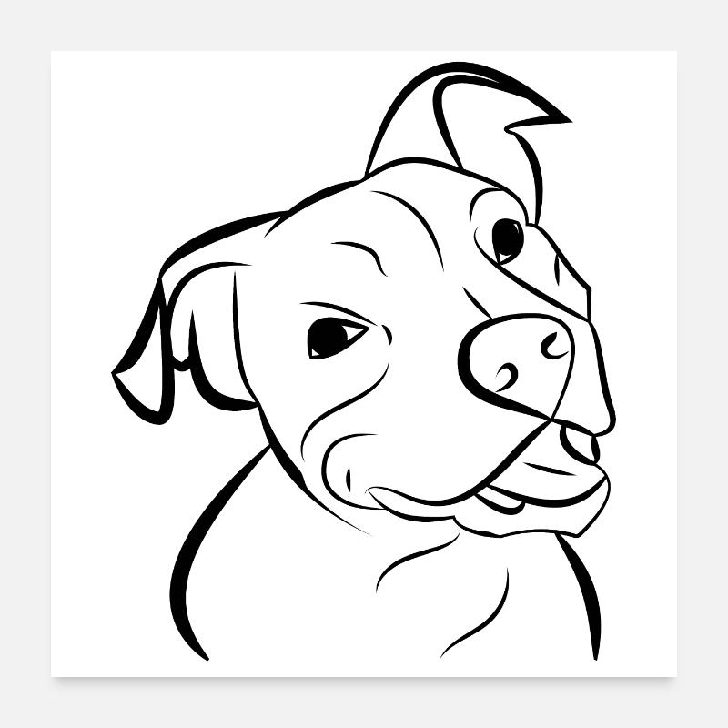 Hund Pitbull Hundekopf Poster 60x60 cm