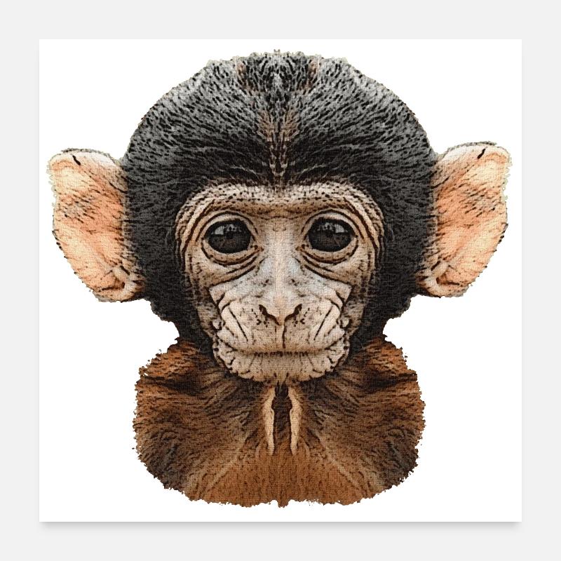 meilleures conceptions de la faune, motif de toile de bébé singe Poster 60 x 60 cm