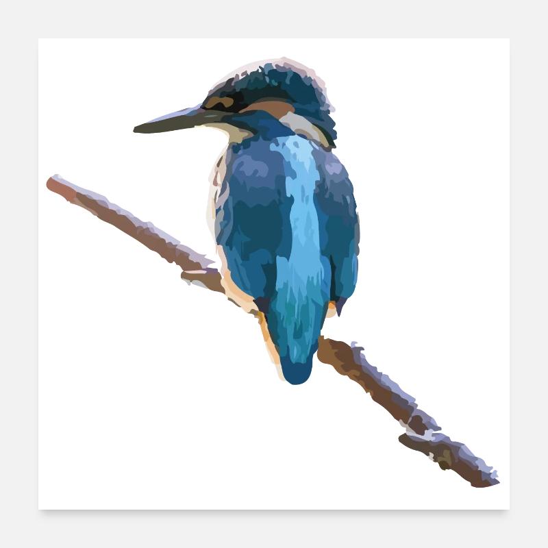Eisvogel - Poster 60x60 cm - Weiß